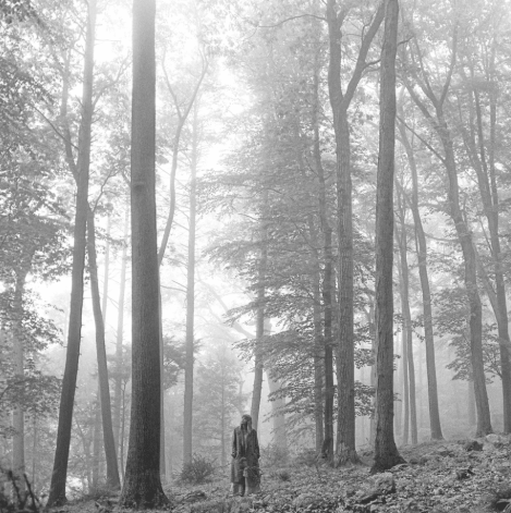 Makna Lagu August – Taylor Swift